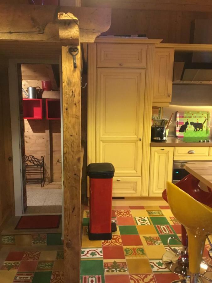 Chalet Des Petits Loups 샤모니 외부 사진